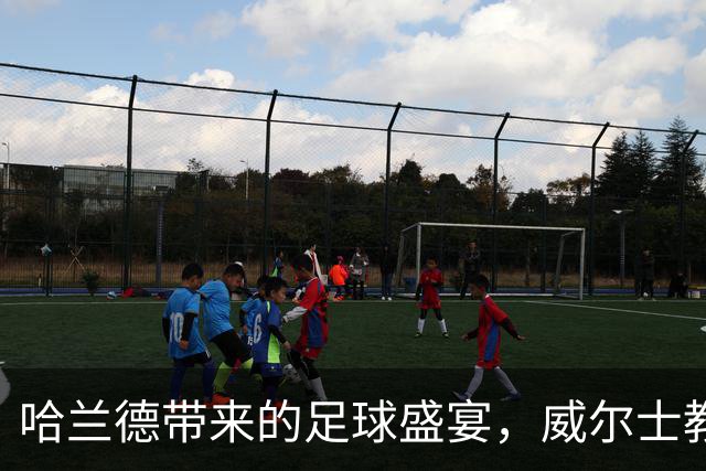 哈兰德带来的足球盛宴，威尔士教练无暇顾及旧主风波