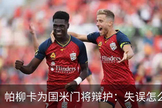 帕柳卡为国米门将辩护：失误怎么就成了“致命一击”？